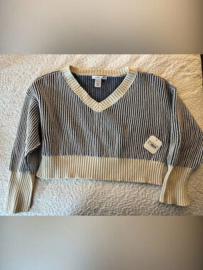 Altar’d state V-Neck Striped Sweater in Blue & Cream Size Small NWT
